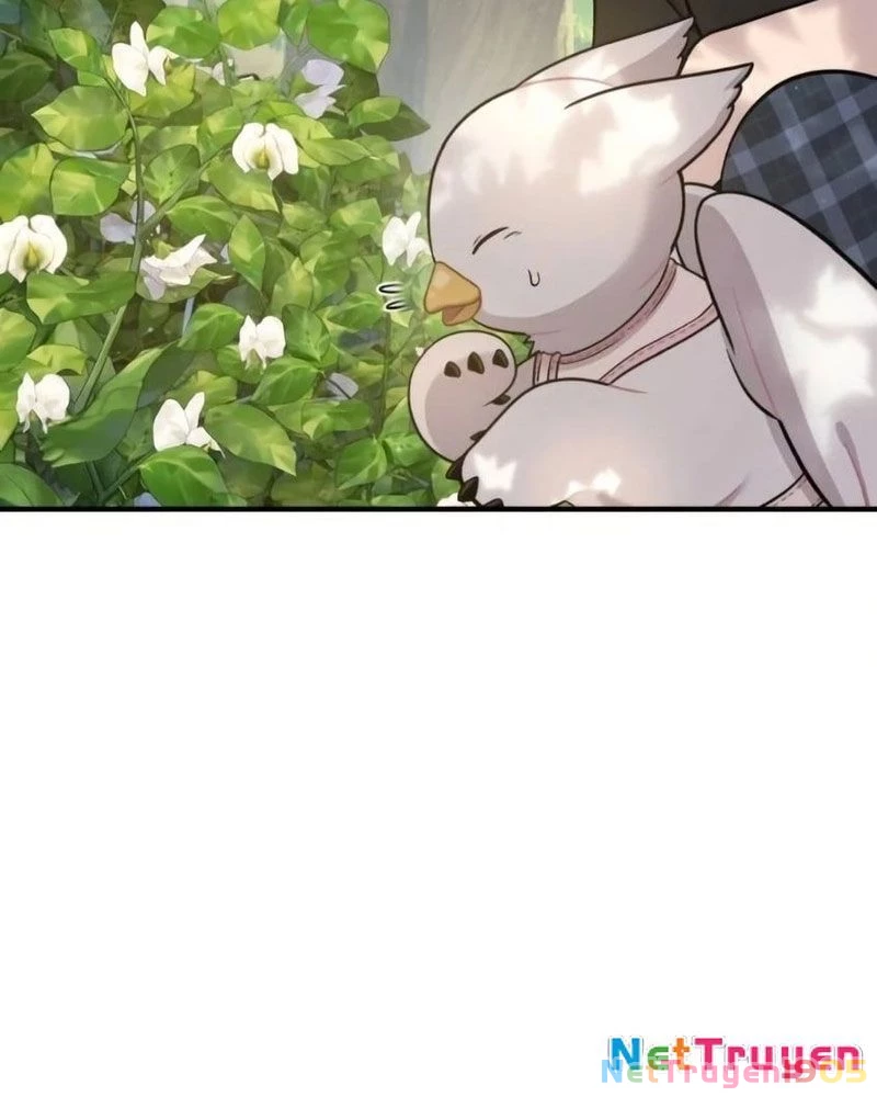 Chào Nhé, Griffin Mắt Tròn! Chapter 6 - 121