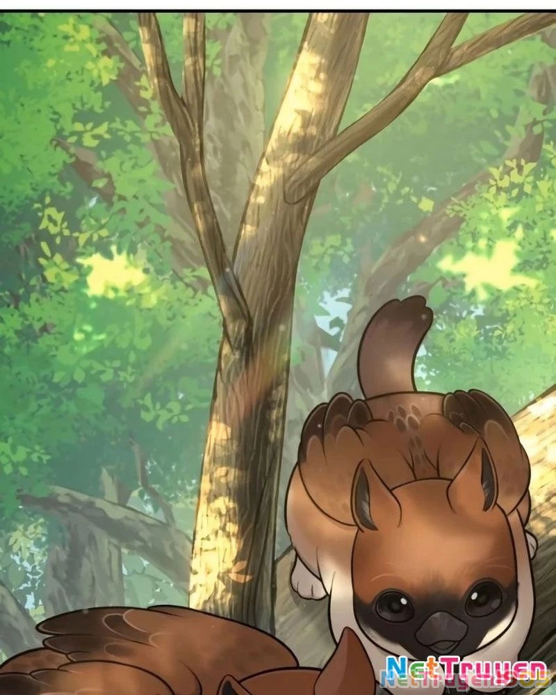 Chào Nhé, Griffin Mắt Tròn! Chapter 6 - 126