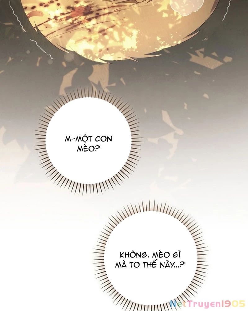 Ma Pháp Quân Chủ Chapter 12 - 142