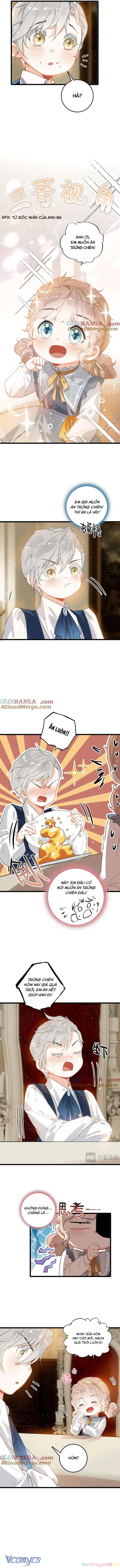 Sau Khi Xuyên Không Thành Tiểu Bảo Bảo, Cả Nhà Phản Diện Đều Muốn Giết Tôi! Chapter  9 - 3