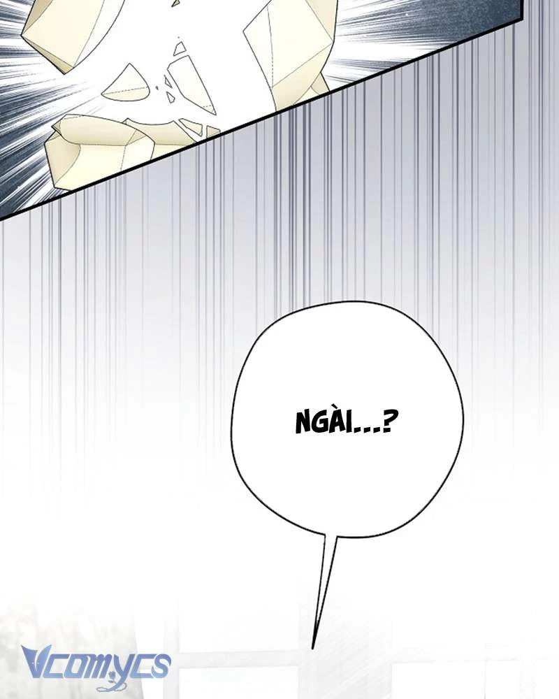 Các Nam Chính Đã Bị Nữ Phụ Cướp Mất Chapter 56 - 76