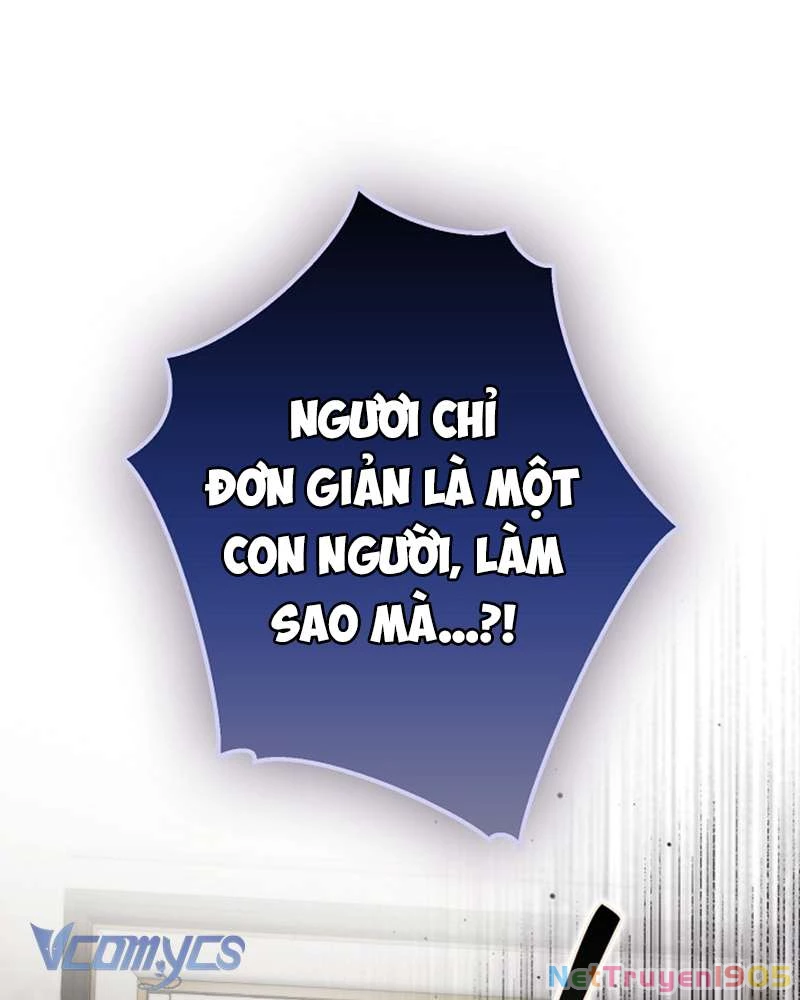 Các Nam Chính Đã Bị Nữ Phụ Cướp Mất Chapter 56 - 95