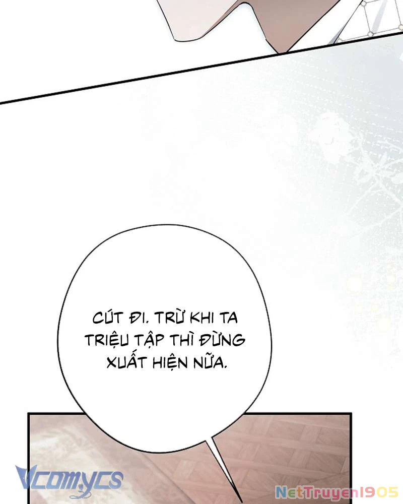 Các Nam Chính Đã Bị Nữ Phụ Cướp Mất Chapter 56 - 111