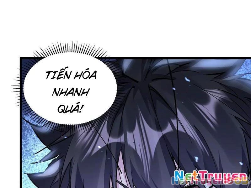 Mạt Thế Cẩu Sinh: Gián Giúp Ta Chồng Buff Chapter 55 - 81