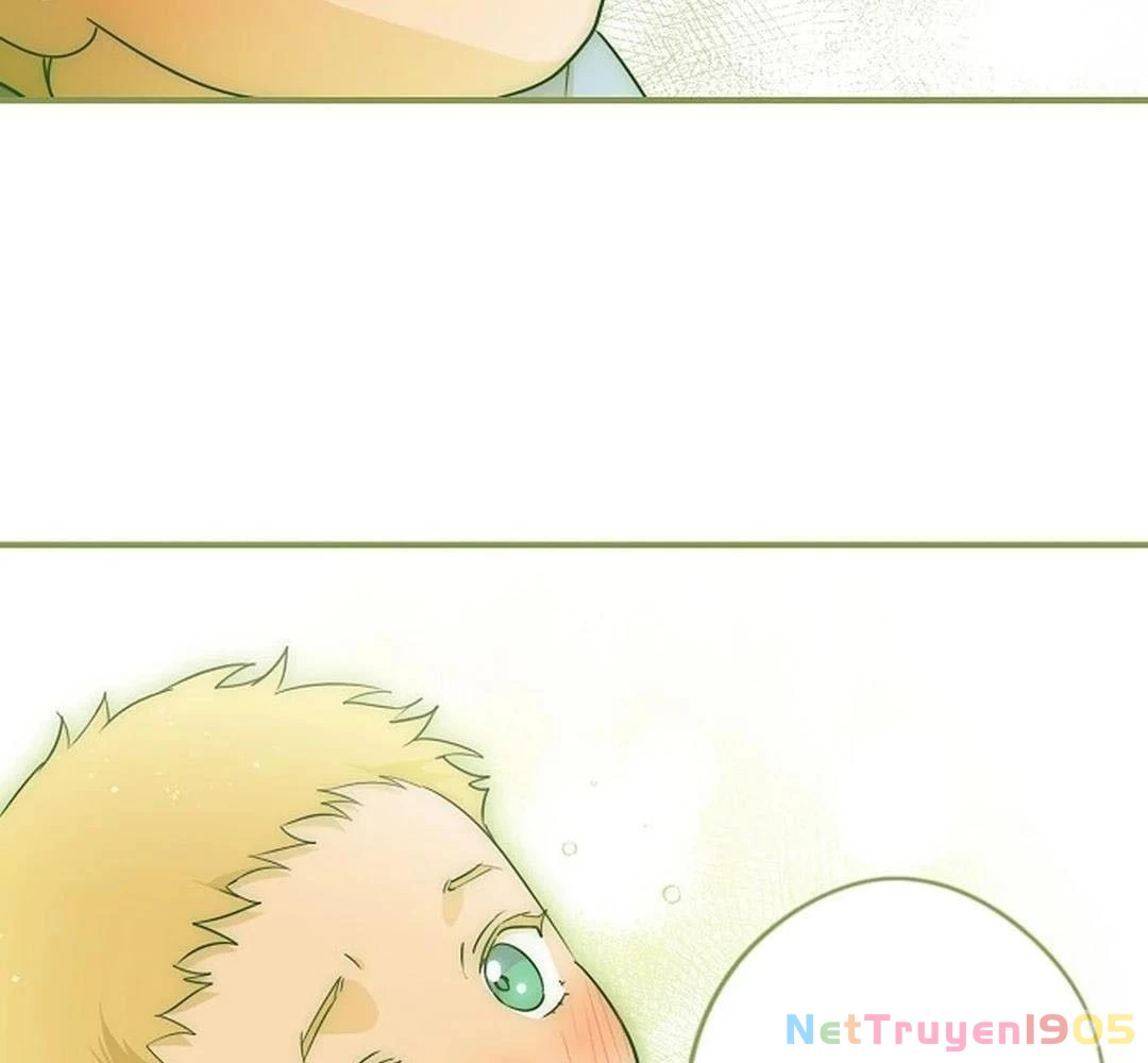Bị Che Khuất Bởi Mặt Trời Lặn Chapter 191 - 43