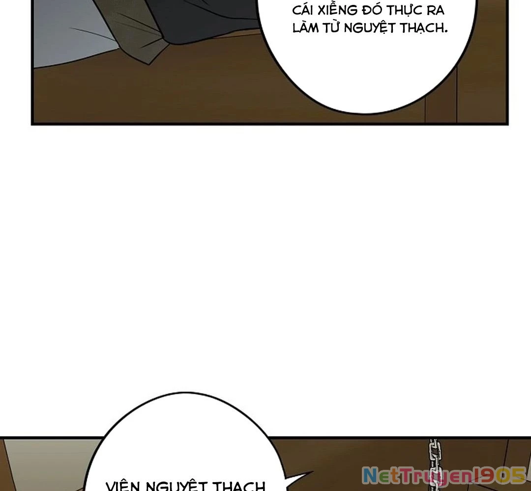 Bị Che Khuất Bởi Mặt Trời Lặn Chapter 194 - 13