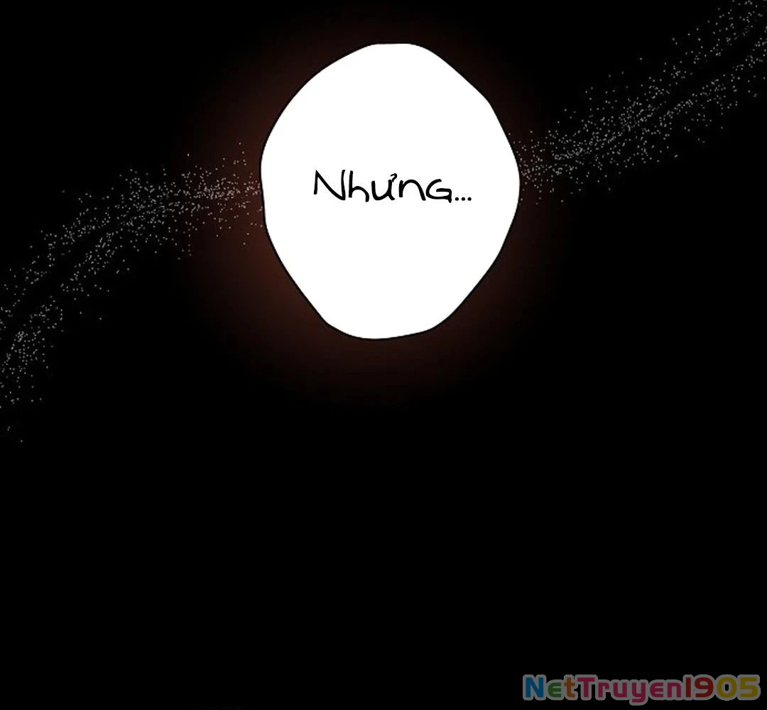 Bị Che Khuất Bởi Mặt Trời Lặn Chapter 194 - 146