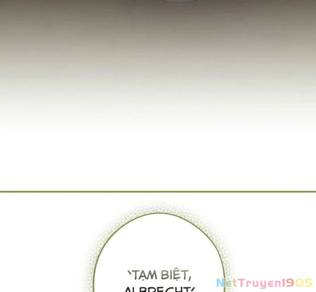 Bị Che Khuất Bởi Mặt Trời Lặn Chapter 195 - 6