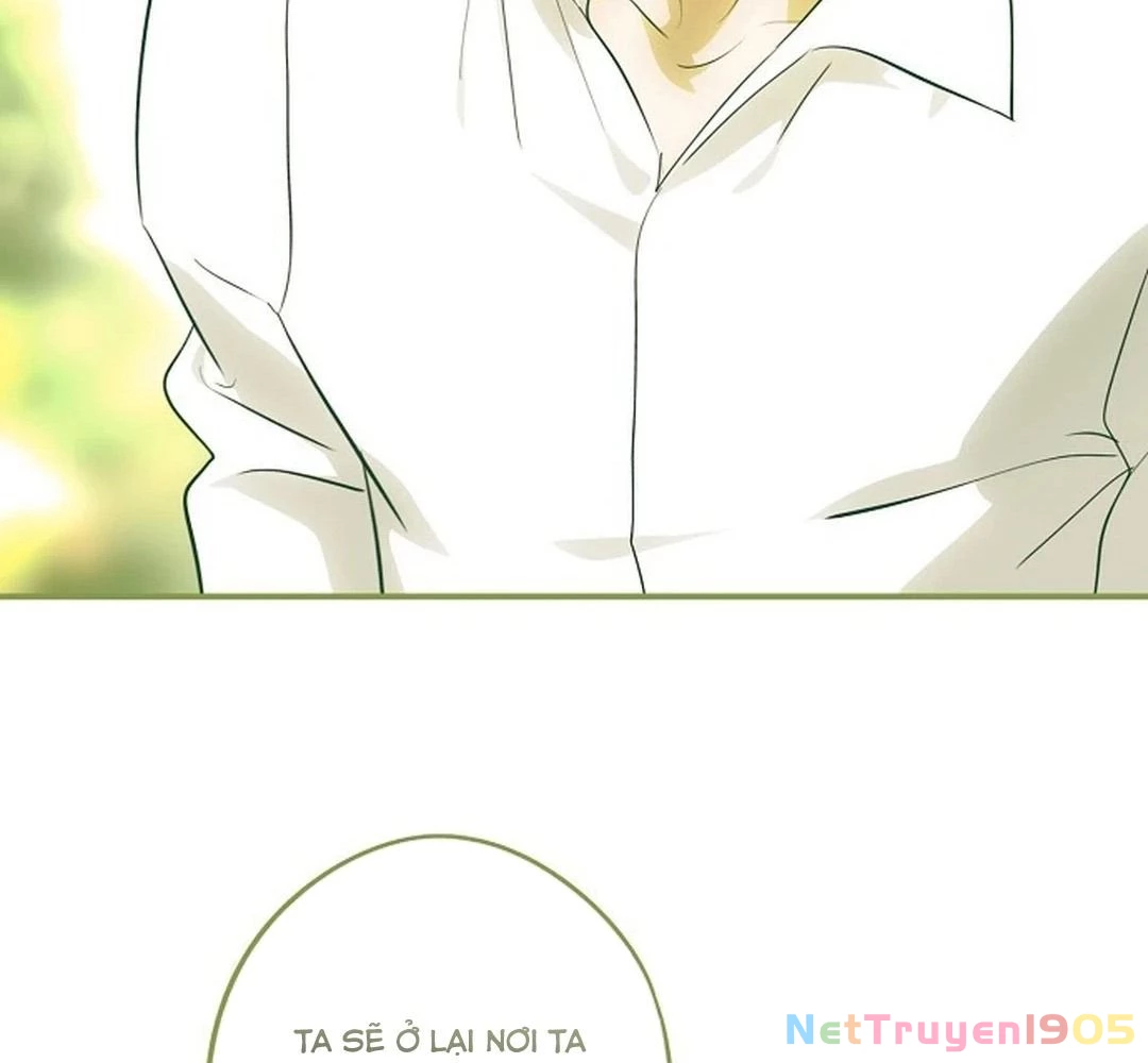 Bị Che Khuất Bởi Mặt Trời Lặn Chapter 195 - 13