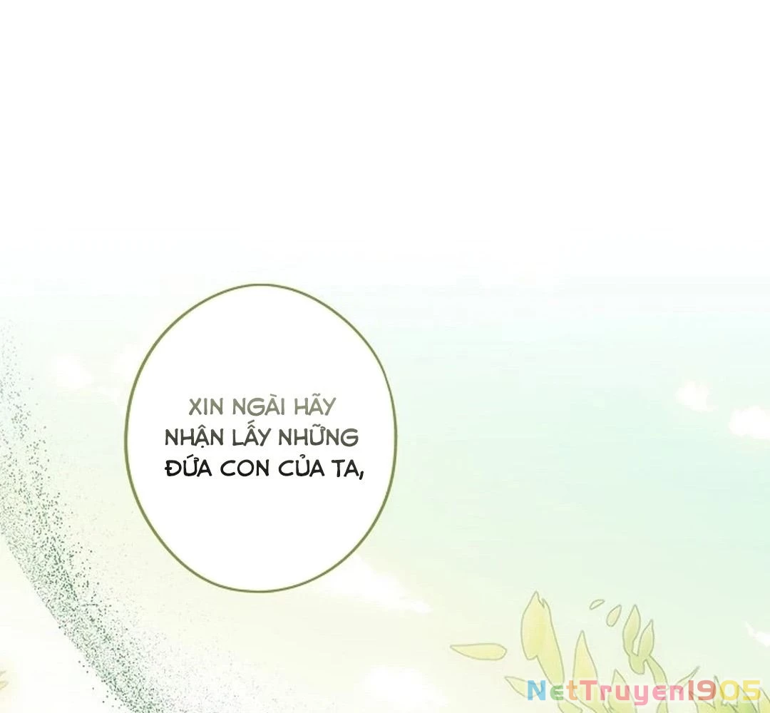 Bị Che Khuất Bởi Mặt Trời Lặn Chapter 195 - 19