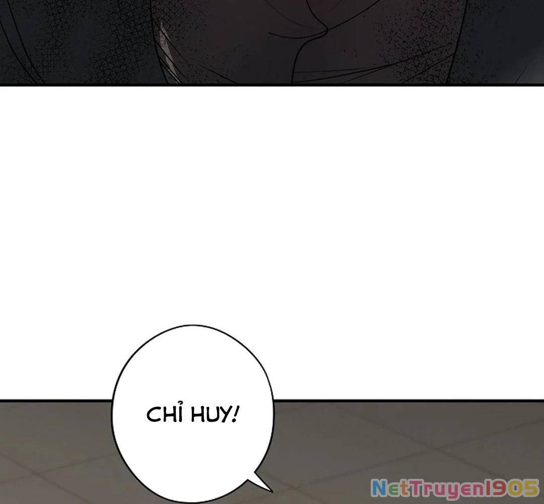 Bị Che Khuất Bởi Mặt Trời Lặn Chapter 195 - 52