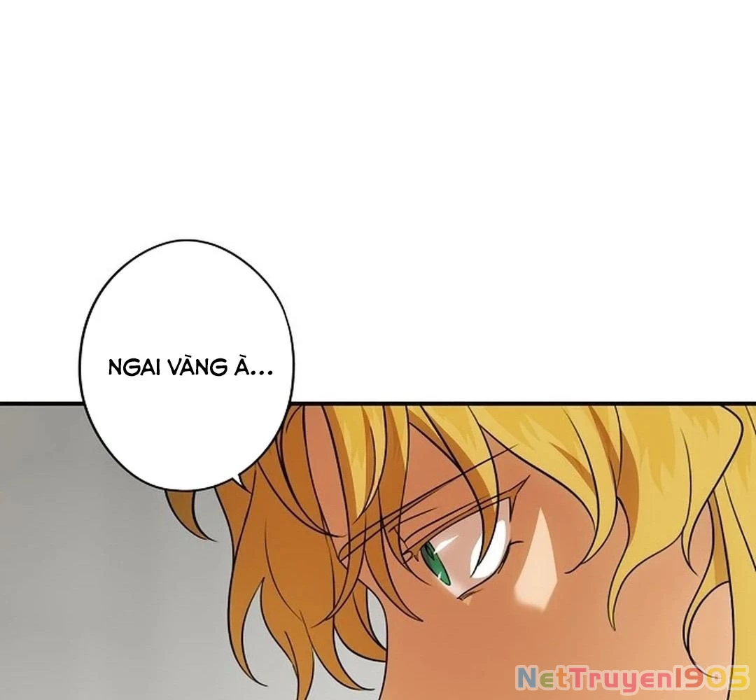 Bị Che Khuất Bởi Mặt Trời Lặn Chapter 196 - 50