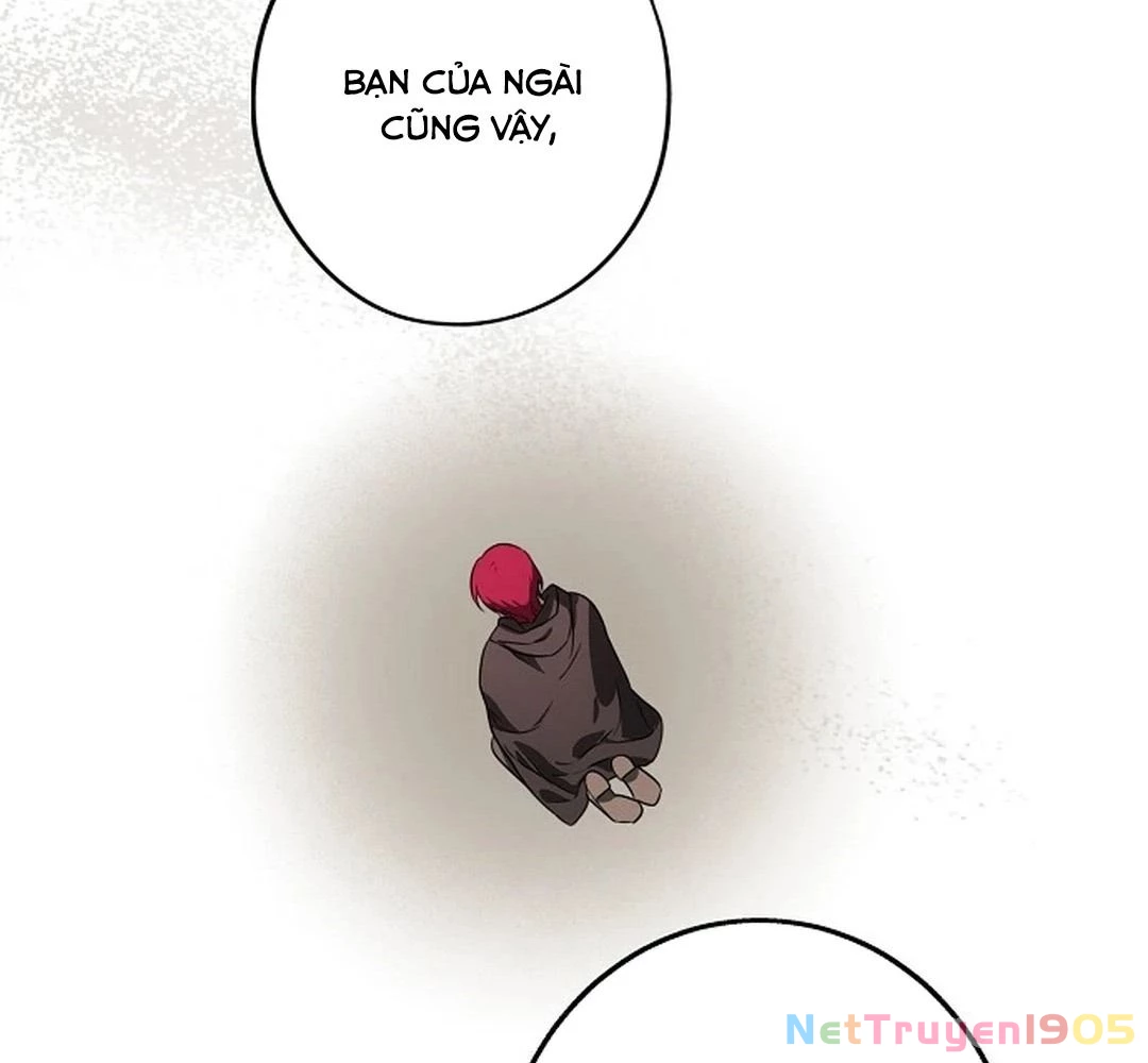 Bị Che Khuất Bởi Mặt Trời Lặn Chapter 196 - 52