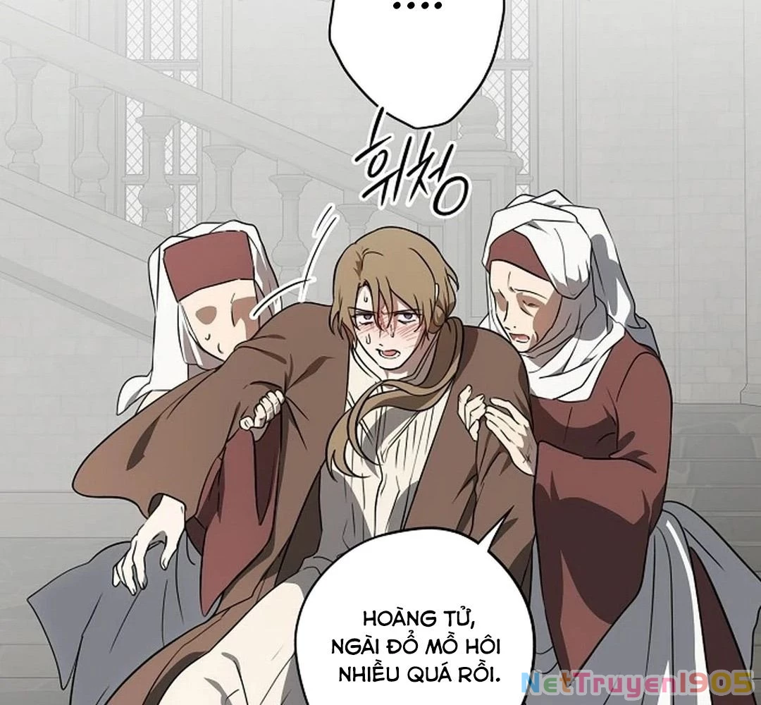 Bị Che Khuất Bởi Mặt Trời Lặn Chapter 196 - 61