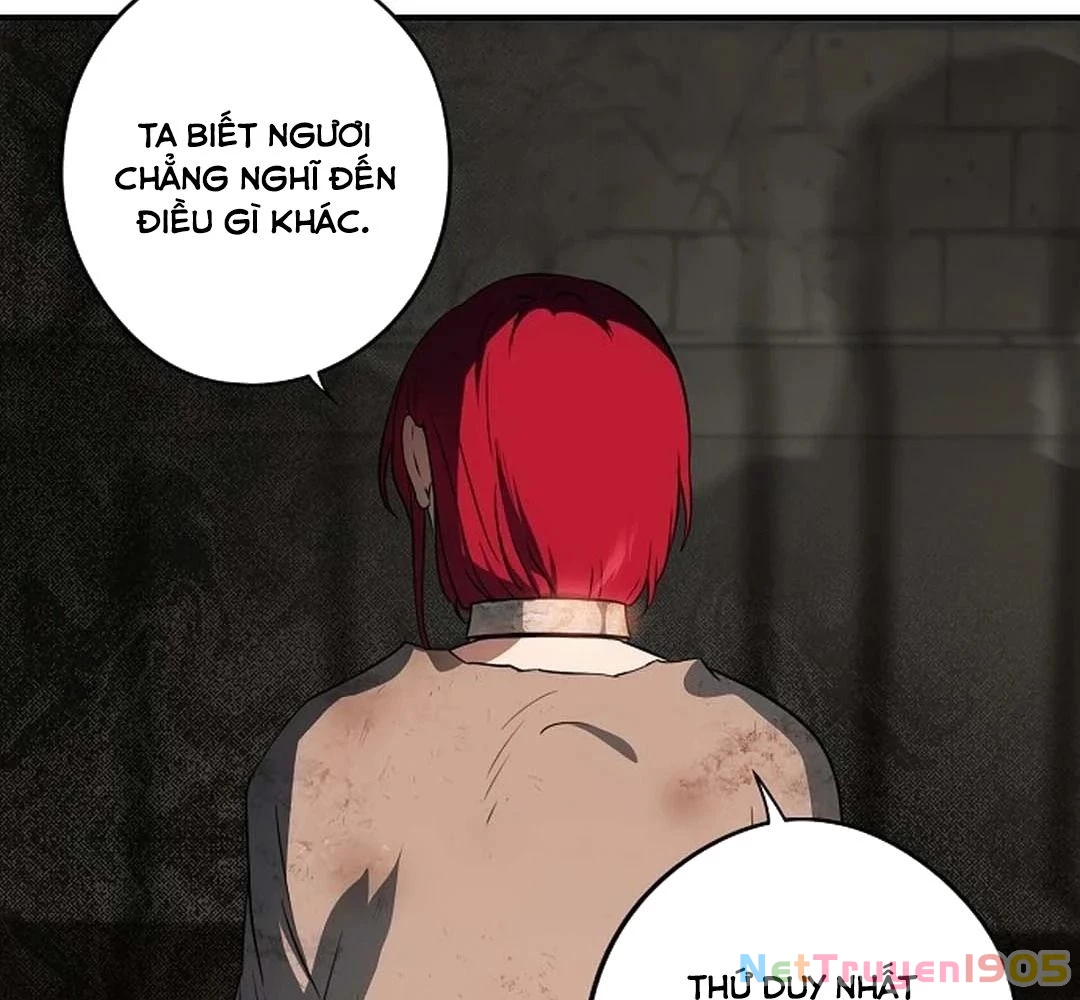 Bị Che Khuất Bởi Mặt Trời Lặn Chapter 197 - 103