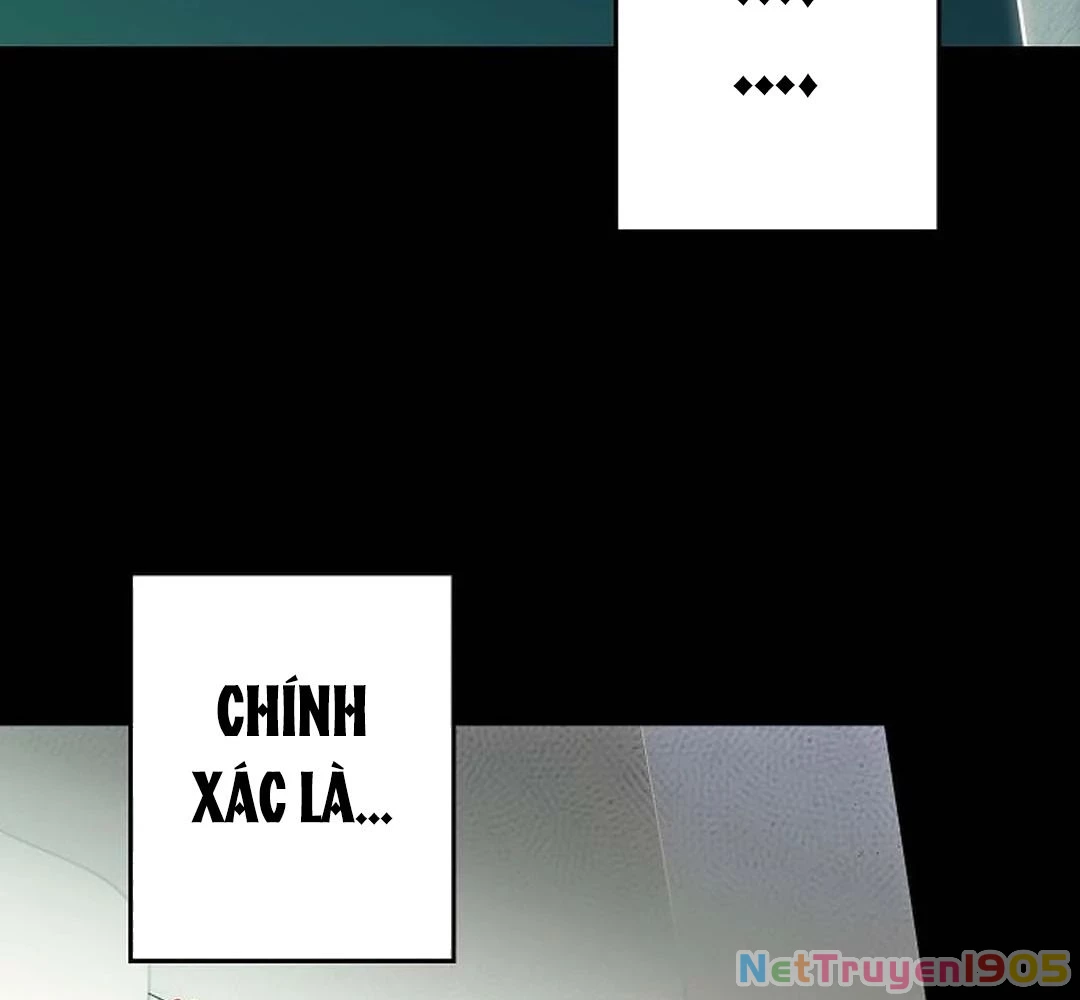 Bị Che Khuất Bởi Mặt Trời Lặn Chapter 197 - 126