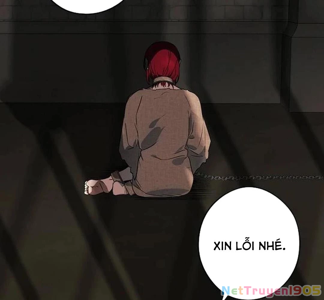 Bị Che Khuất Bởi Mặt Trời Lặn Chapter 198 - 9