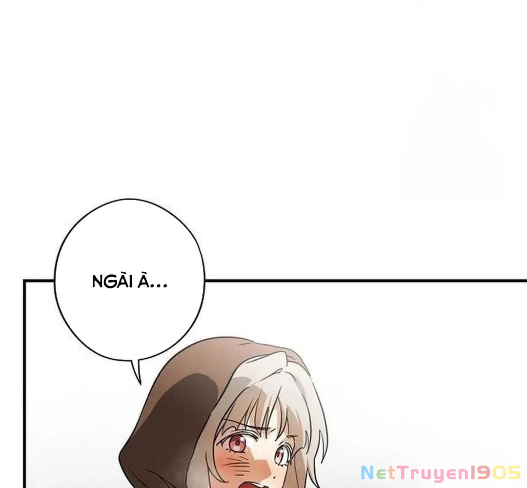 Bị Che Khuất Bởi Mặt Trời Lặn Chapter 200 - 9