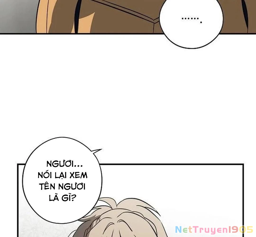 Bị Che Khuất Bởi Mặt Trời Lặn Chapter 200 - 38