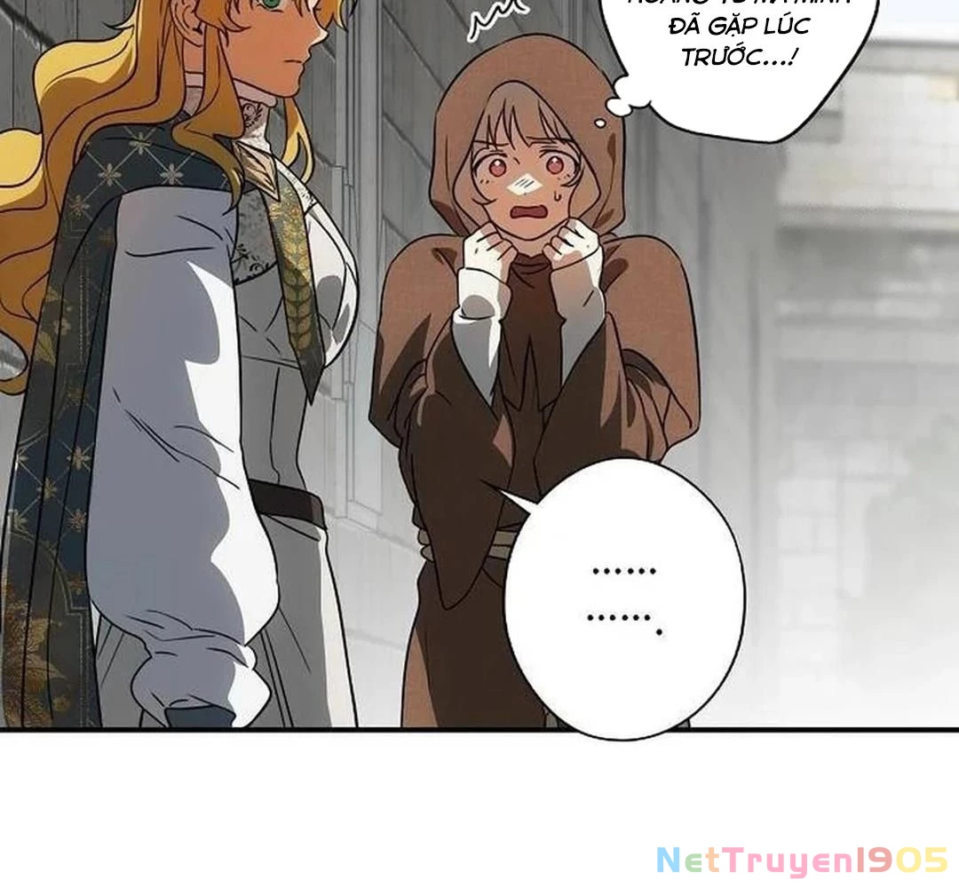 Bị Che Khuất Bởi Mặt Trời Lặn Chapter 200 - 95