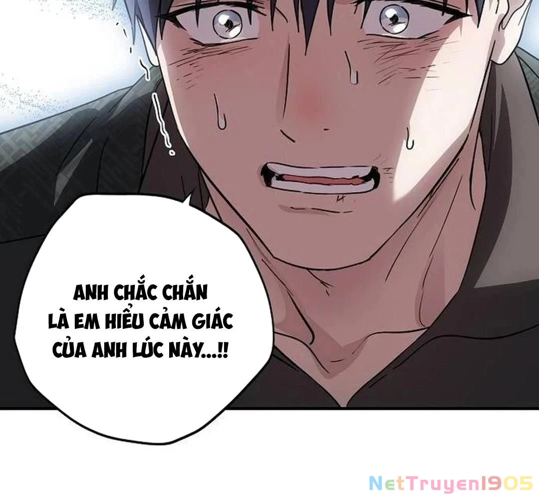Bị Che Khuất Bởi Mặt Trời Lặn Chapter 201 - 77