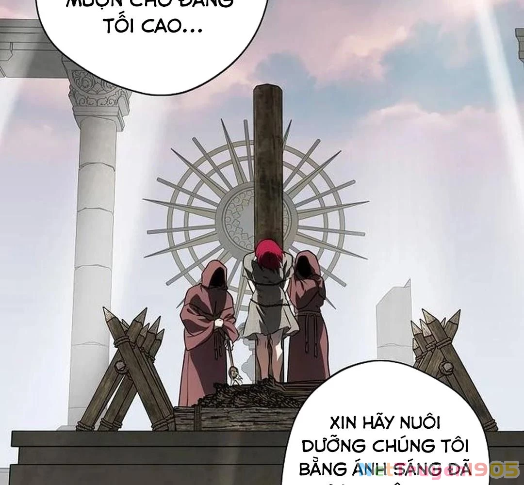 Bị Che Khuất Bởi Mặt Trời Lặn Chapter 201 - 146