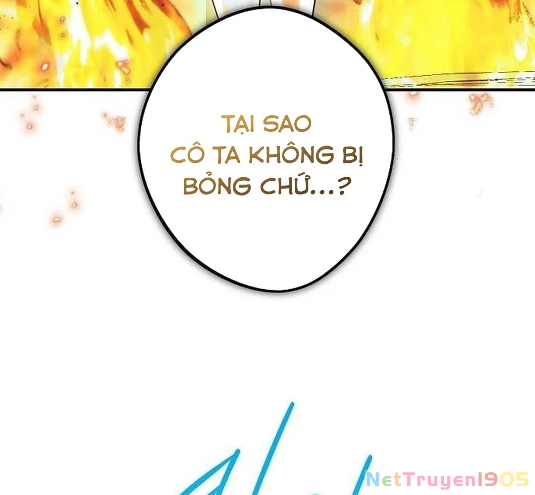 Bị Che Khuất Bởi Mặt Trời Lặn Chapter 201 - 172