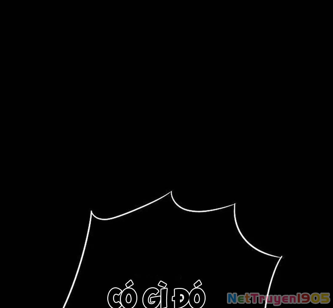 Bị Che Khuất Bởi Mặt Trời Lặn Chapter 202 - 15