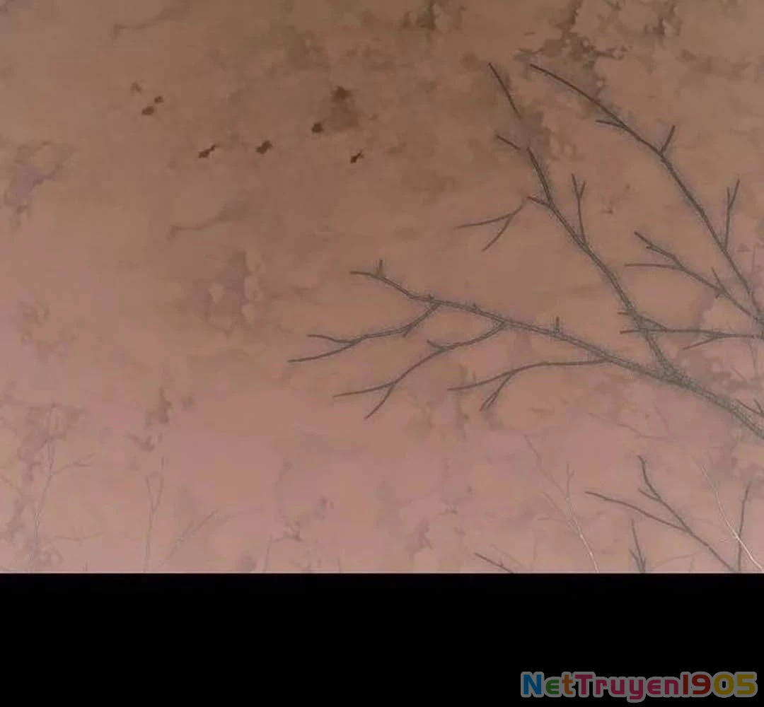 Bị Che Khuất Bởi Mặt Trời Lặn Chapter 202 - 61