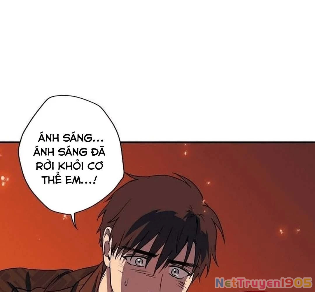Bị Che Khuất Bởi Mặt Trời Lặn Chapter 202 - 169