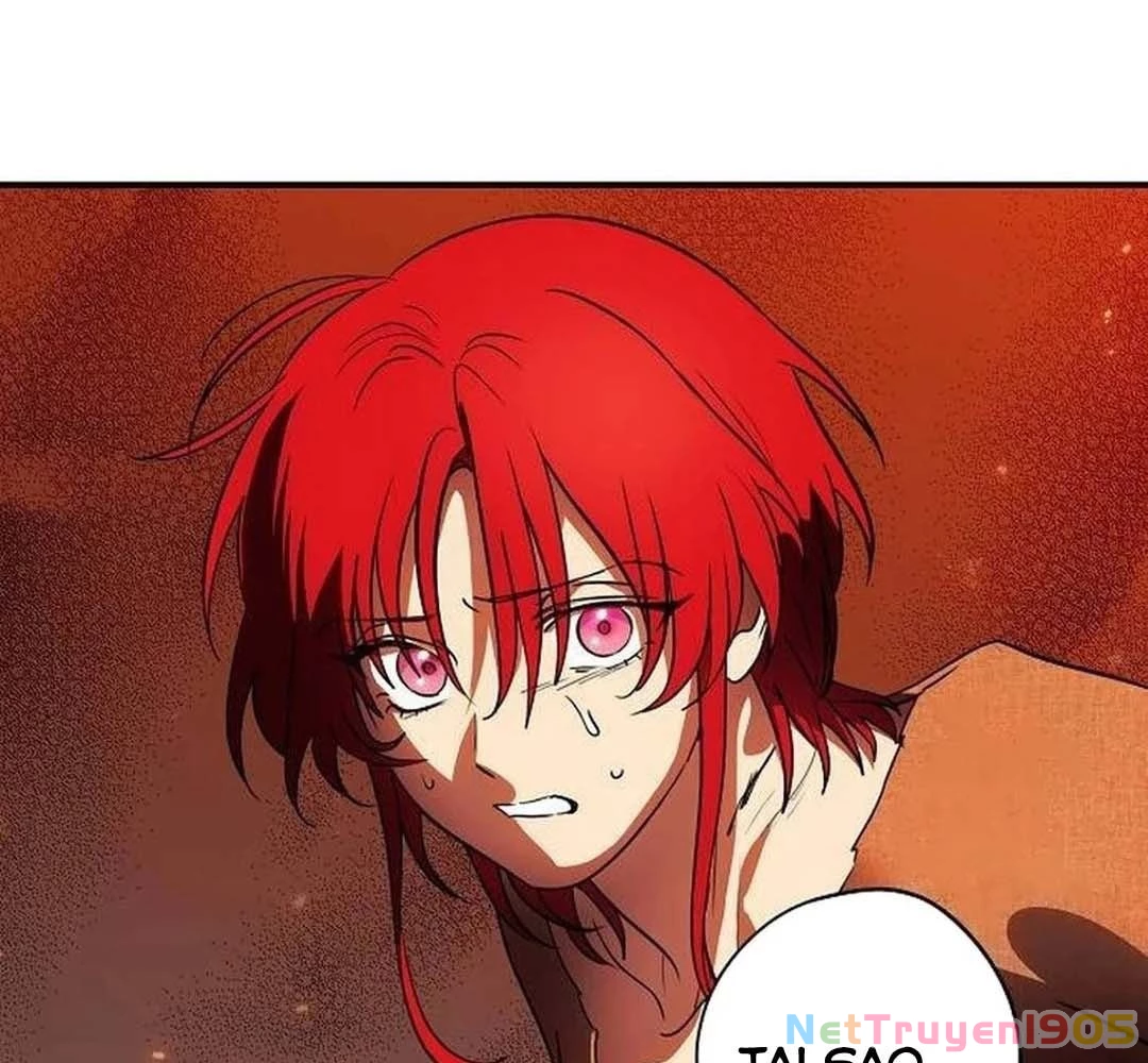 Bị Che Khuất Bởi Mặt Trời Lặn Chapter 203 - 16