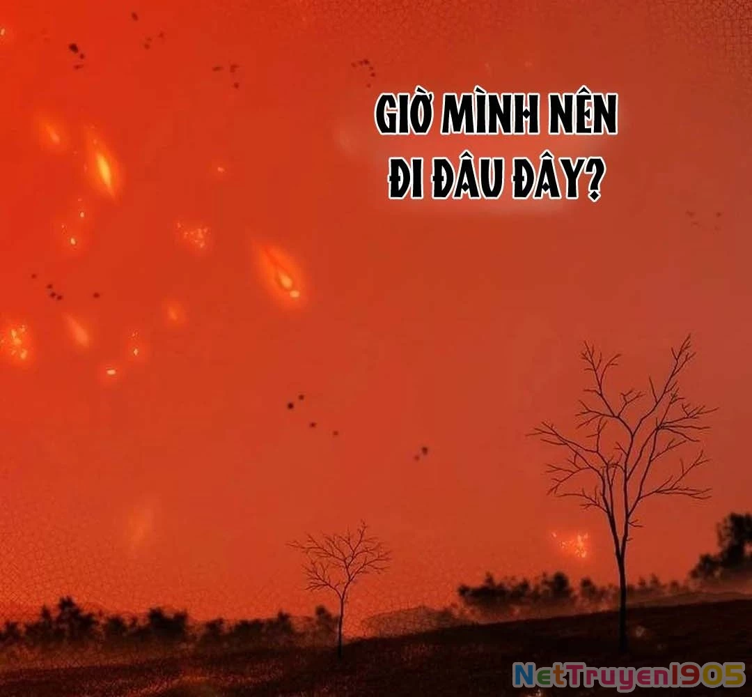 Bị Che Khuất Bởi Mặt Trời Lặn Chapter 204 - 13