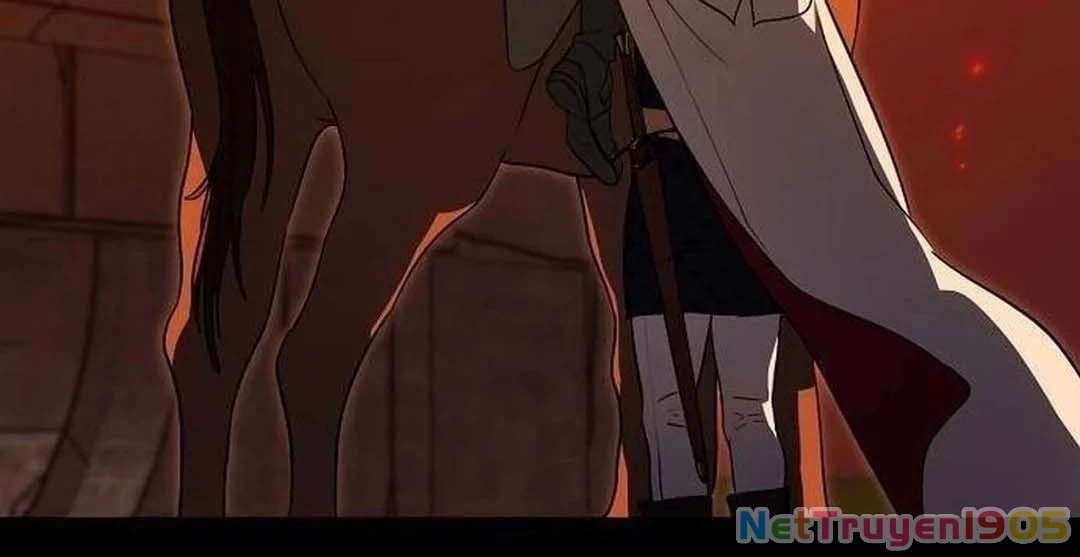 Bị Che Khuất Bởi Mặt Trời Lặn Chapter 204 - 43