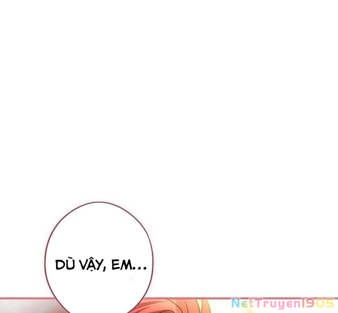 Bị Che Khuất Bởi Mặt Trời Lặn Chapter 204 - 113