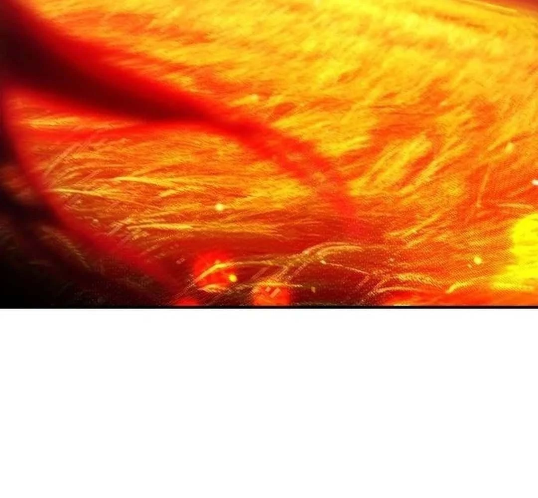 Bị Che Khuất Bởi Mặt Trời Lặn Chapter 204 - 120