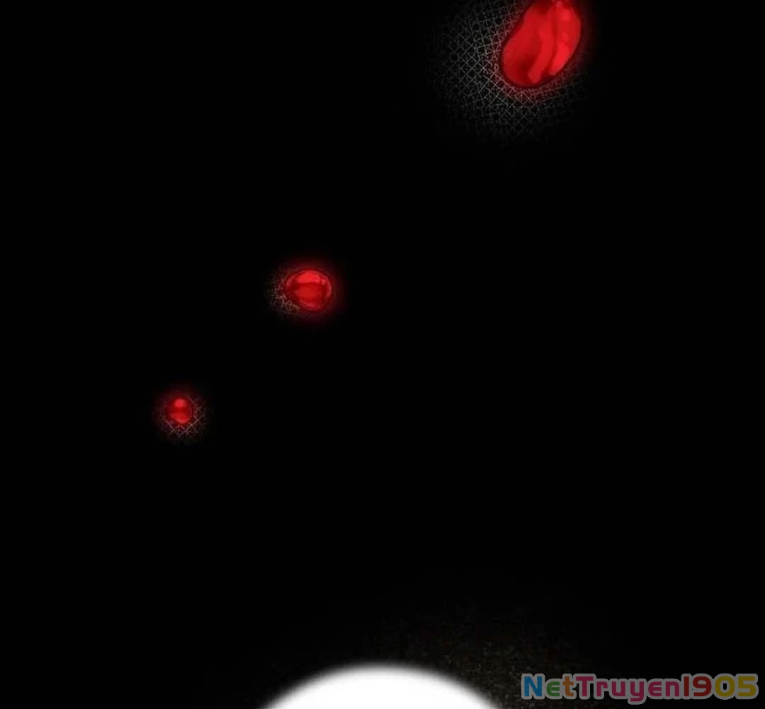 Bị Che Khuất Bởi Mặt Trời Lặn Chapter 204 - 126