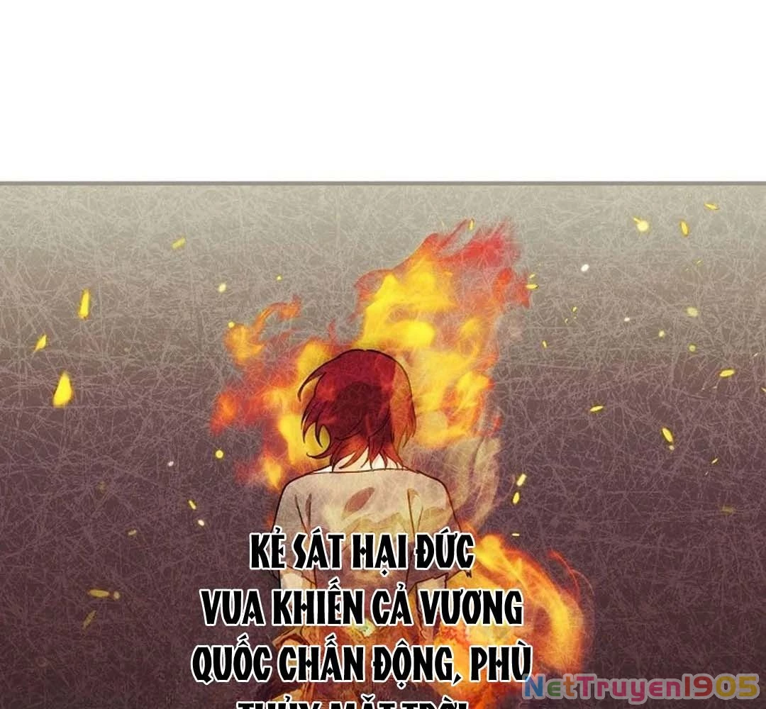 Bị Che Khuất Bởi Mặt Trời Lặn Chapter 205 - 33