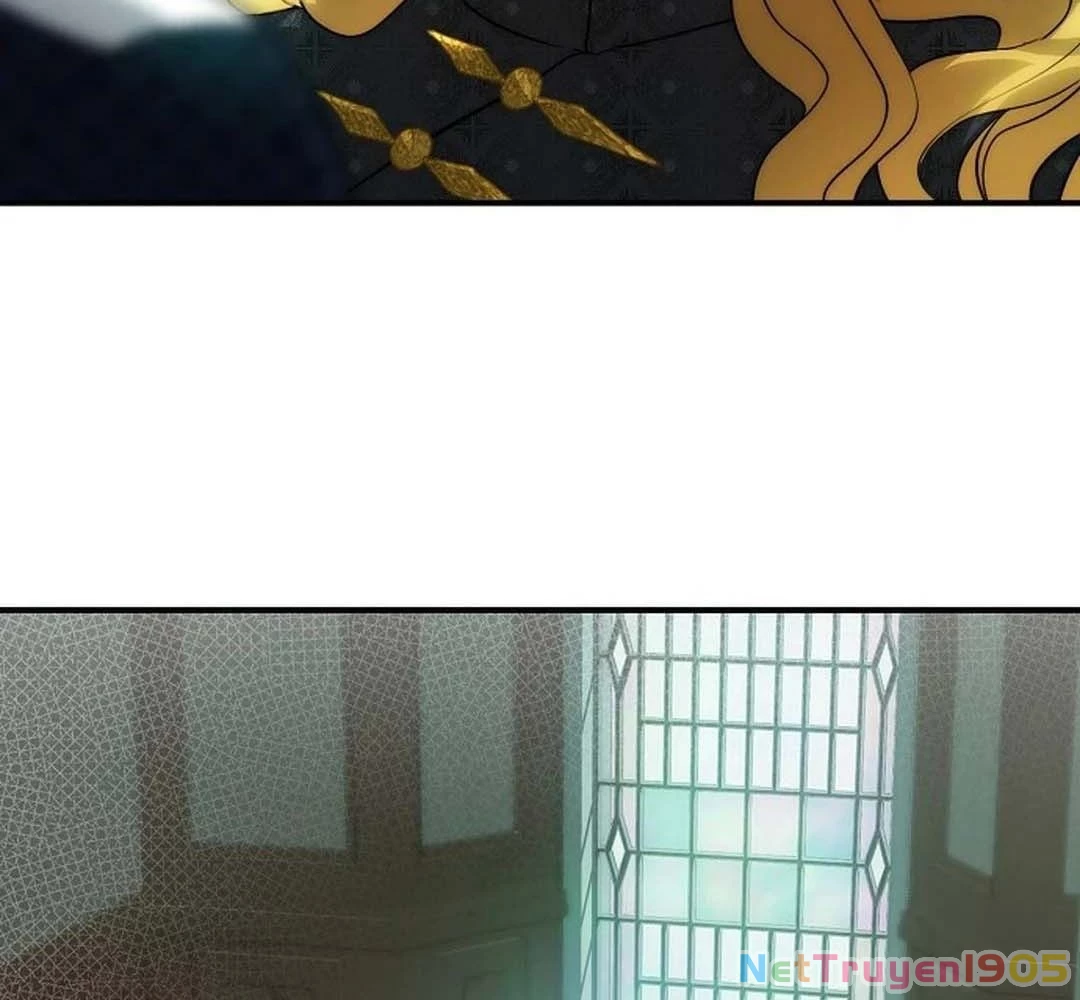 Bị Che Khuất Bởi Mặt Trời Lặn Chapter 205 - 43