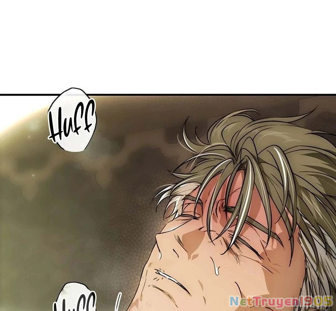 Bị Che Khuất Bởi Mặt Trời Lặn Chapter 205 - 64