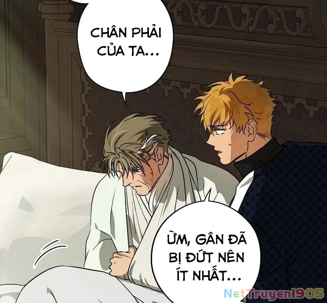 Bị Che Khuất Bởi Mặt Trời Lặn Chapter 205 - 68