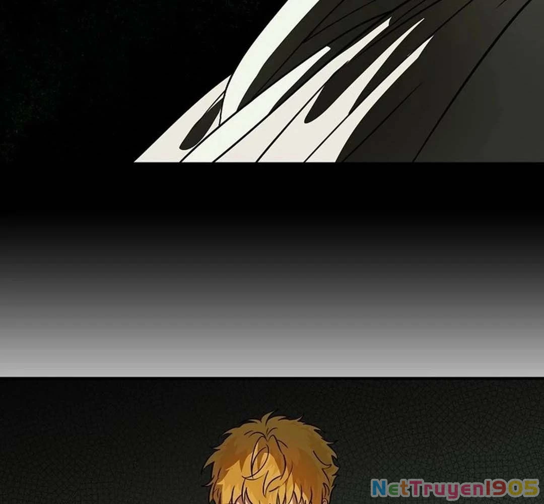 Bị Che Khuất Bởi Mặt Trời Lặn Chapter 205 - 76