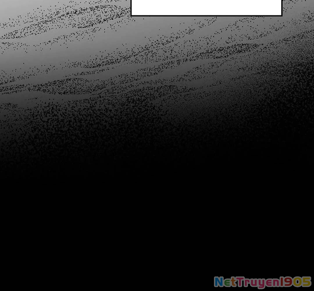 Bị Che Khuất Bởi Mặt Trời Lặn Chapter 205 - 101