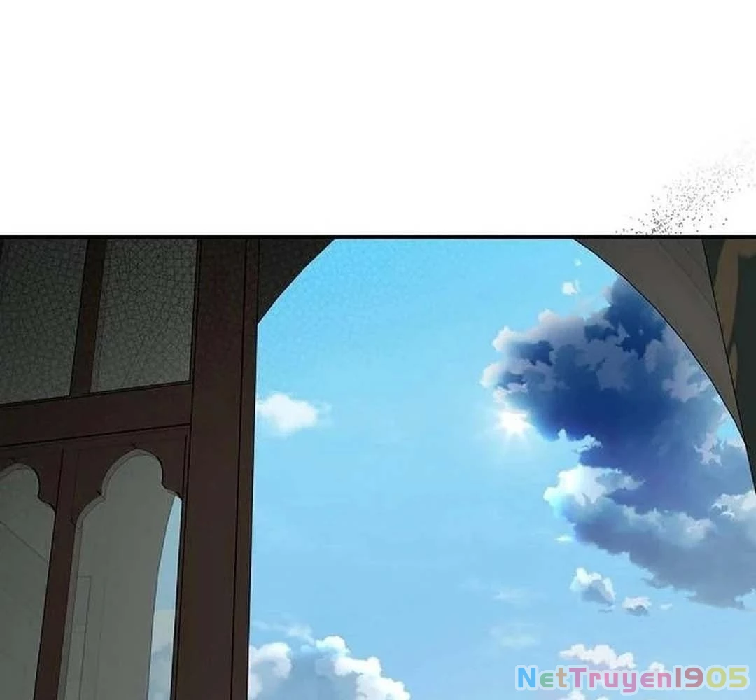 Bị Che Khuất Bởi Mặt Trời Lặn Chapter 206 - 5