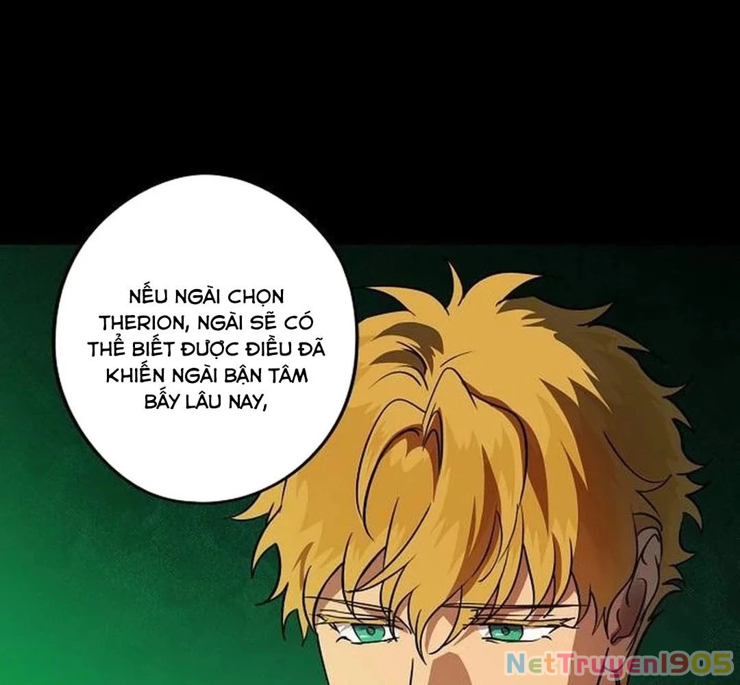 Bị Che Khuất Bởi Mặt Trời Lặn Chapter 207 - 41
