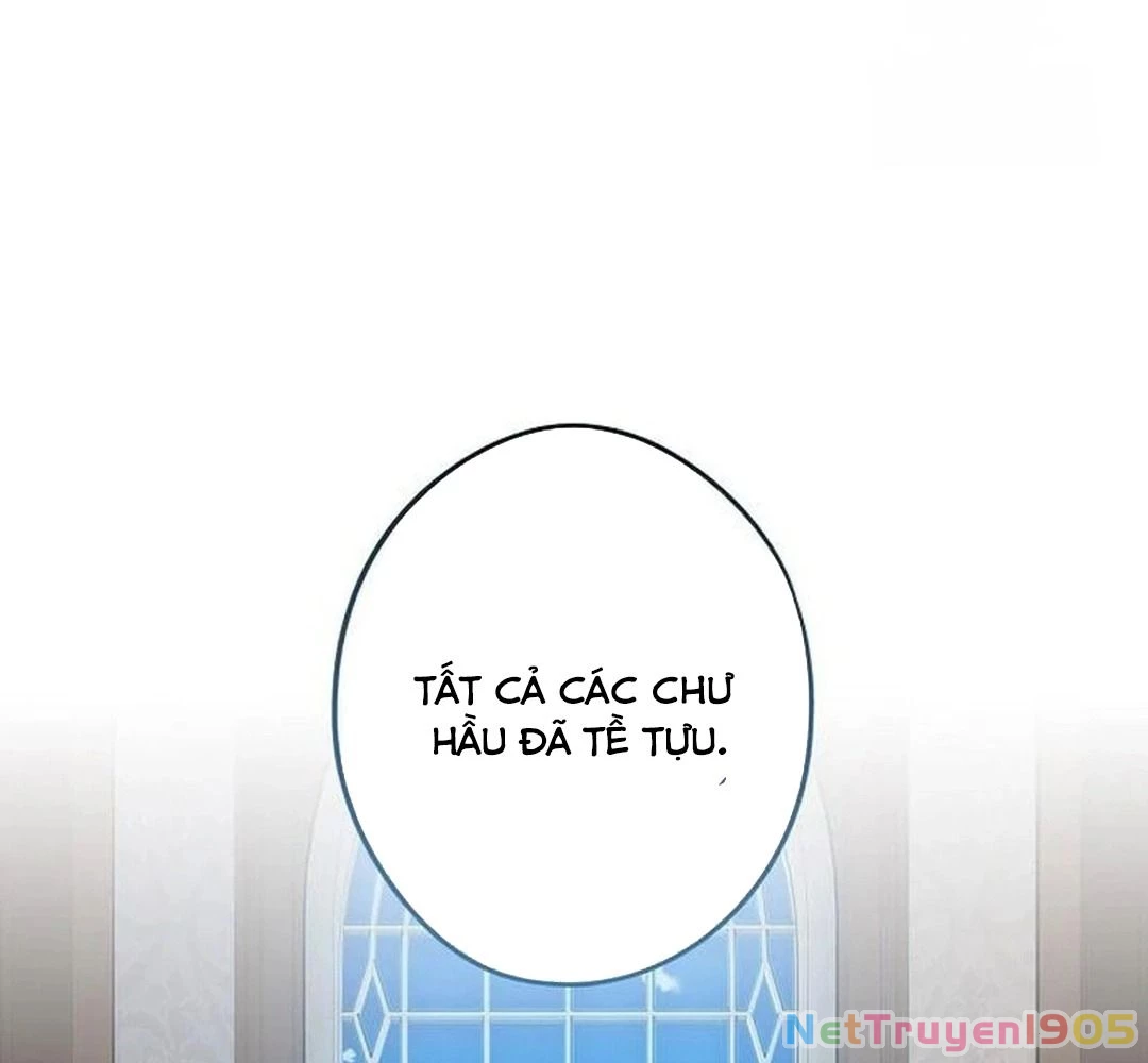 Bị Che Khuất Bởi Mặt Trời Lặn Chapter 209 - 7