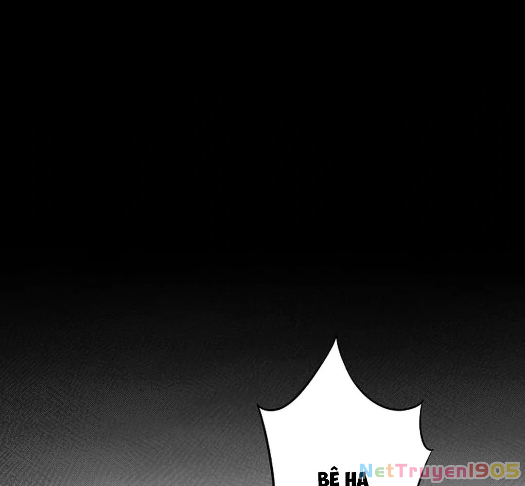 Bị Che Khuất Bởi Mặt Trời Lặn Chapter 209 - 137