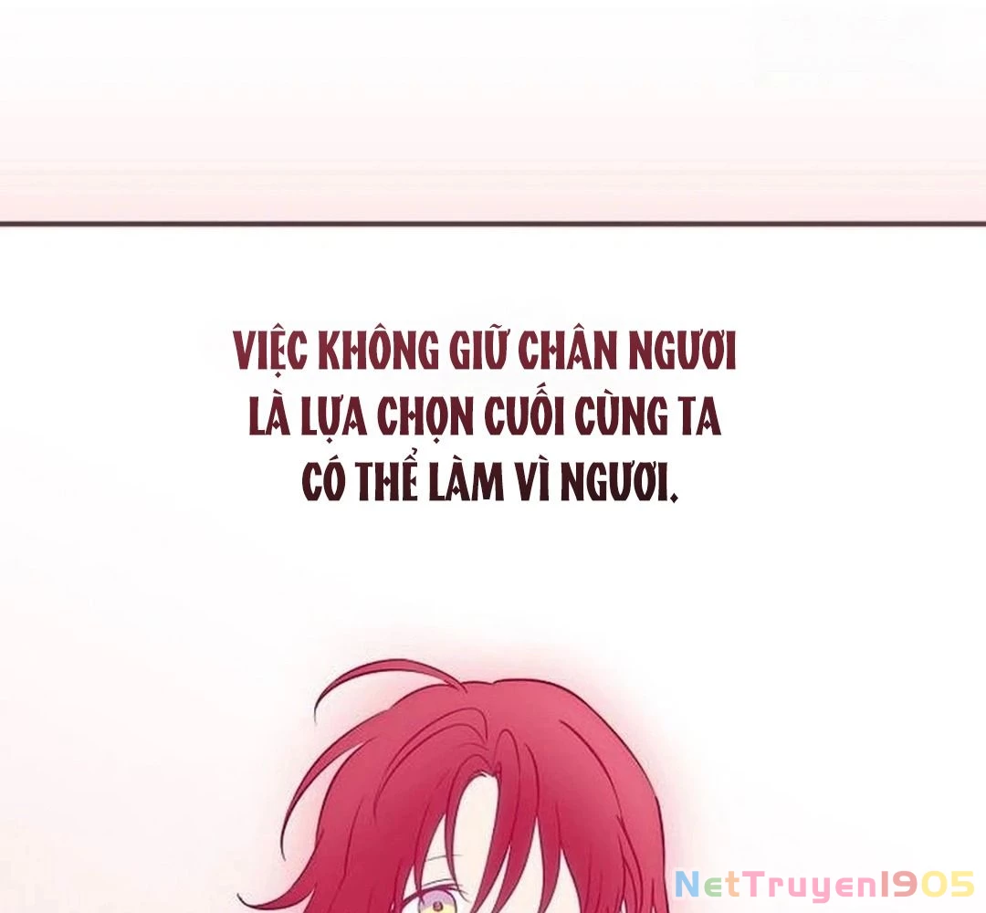 Bị Che Khuất Bởi Mặt Trời Lặn Chapter 209 - 145
