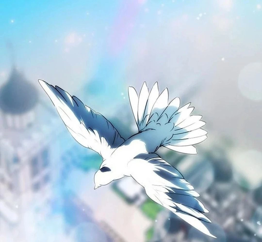 Bị Che Khuất Bởi Mặt Trời Lặn Chapter 209 - 166