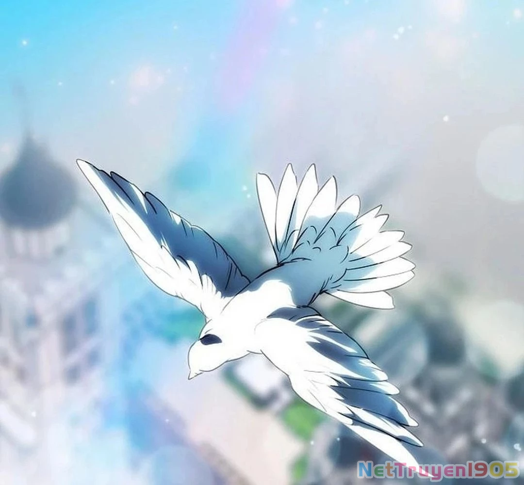 Bị Che Khuất Bởi Mặt Trời Lặn Chapter 211 - 166