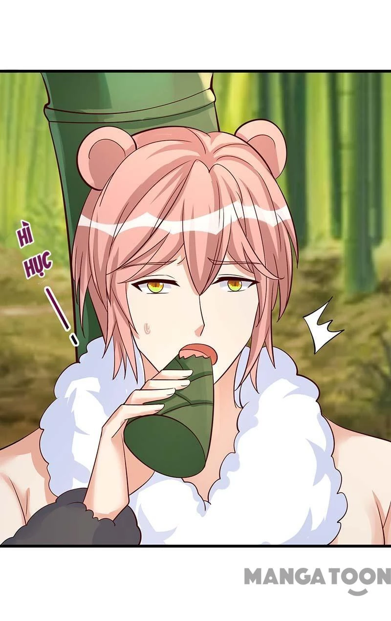 Thú Thế Cuồng Phi: Bất Đương Dị Giới Nữ Hải Vương Chapter 81 - 12